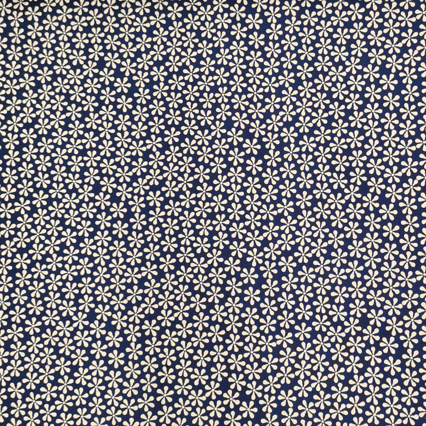 Blank Quilting Floral on Navy Cotton Prints