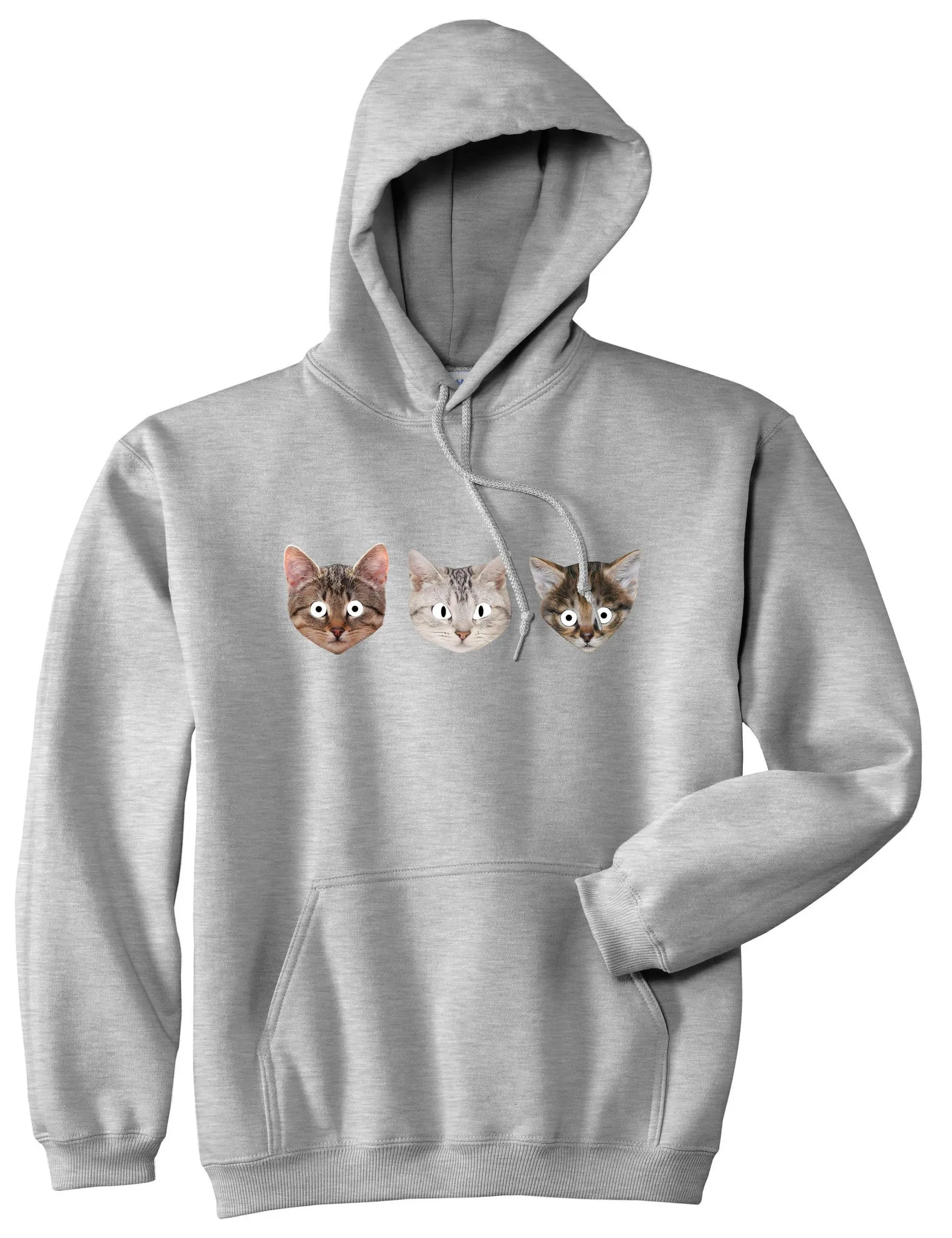 Cats Crazy Kittens Boys Kids Pullover Hoodie Hoody