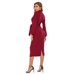 Elegant Ladies Long Sleeve Bodycon Dress